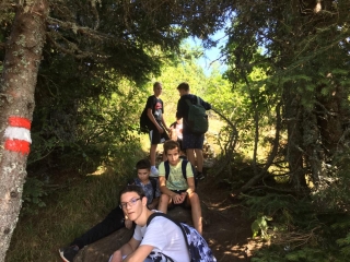 c6e89e6a-6cd7-4974-9415-62d1c34937d0