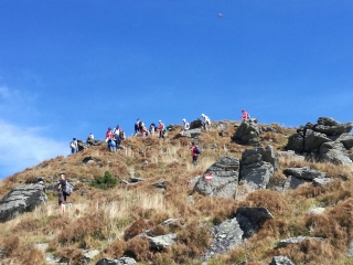 cf49f54d-22af-4b66-b9fe-e51015ddb98e