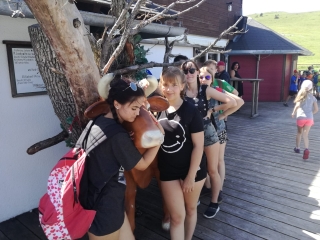 22cfff6e-1702-44f4-8196-1cdf9ec33587