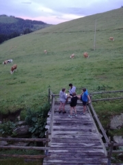 96060134-f803-4b8e-8bc4-fe996b815e40