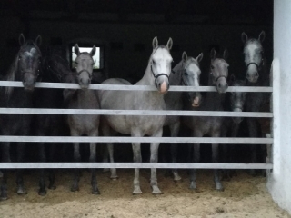 9994f89d-cdd7-4d3a-bcce-2ac4eb01f29e