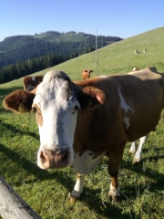 99c066b7-daa1-4146-b8be-430e29a049a9