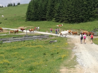 f3760bf1-1e5b-40e8-b28f-9422b27db25f