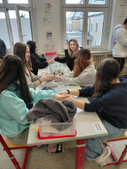 sd6-01-13-at-11.10.51